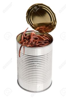 4656346-Concept-for-the-idiom-of-a-open-can-of-worms-Stock-Photo-worms